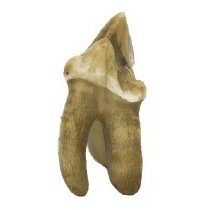 Omc 1960.719.004  (3) Edited